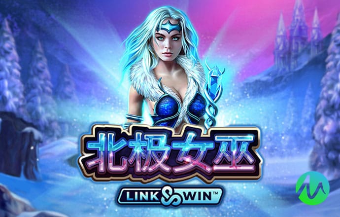 白菜官网彩金